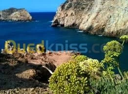 Vente Terrain Tlemcen Honaine