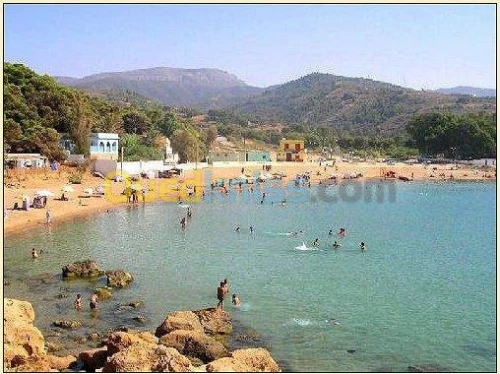 Vente Terrain Tlemcen Honaine