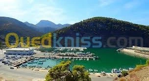 Vente Terrain Tlemcen Honaine