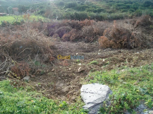 Vente Terrain Tizi ouzou Tigzirt