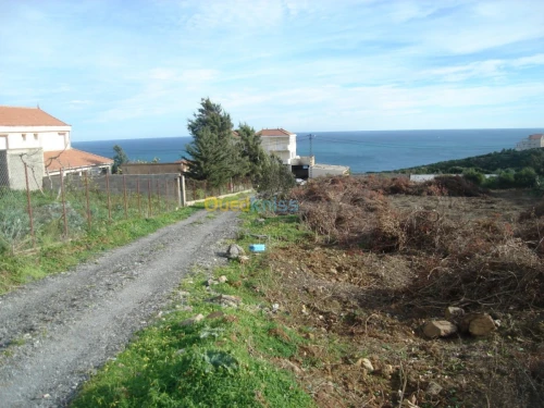 Vente Terrain Tizi ouzou Tigzirt