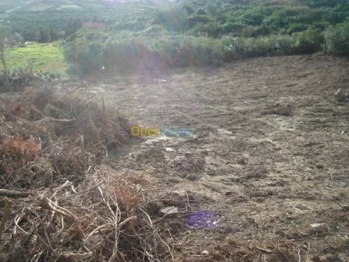 Vente Terrain Tizi ouzou Tigzirt