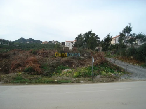 Vente Terrain Tizi ouzou Tigzirt