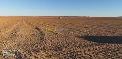 Vente Terrain Agricole Tlemcen Sebdou