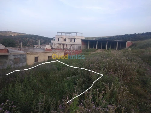 Vente Terrain Souk ahras Ain sanour