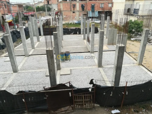 Vente Carcasse Blida Ouled selama