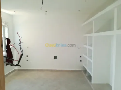  Peintre professionnel  