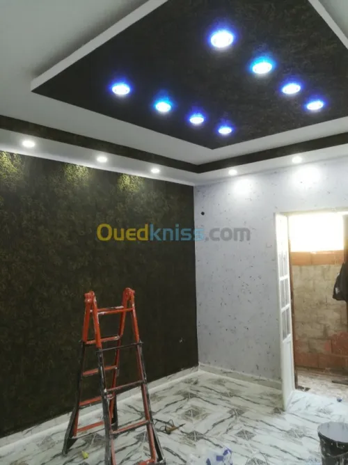  Peintre professionnel  