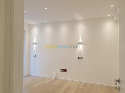 Peintre professionnel  