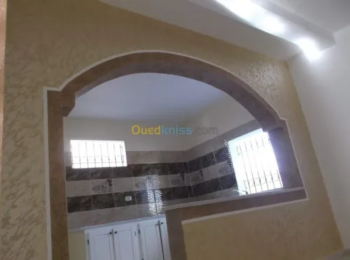  Peintre professionnel  