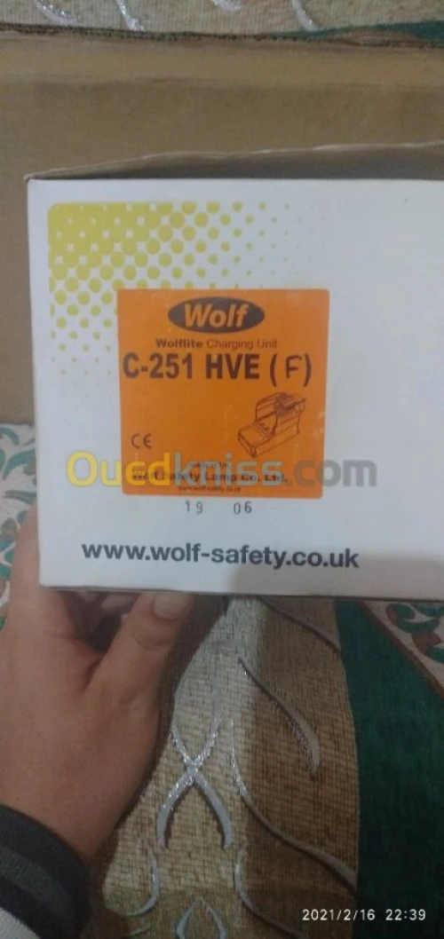 PROJECTEUR ATEX Wolflite H-251ALED 