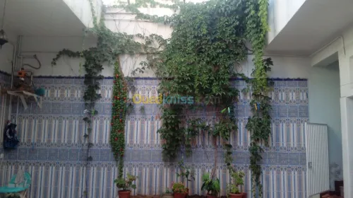 Vente Villa Sidi bel abbes Sidi bel abbes