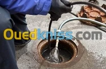 تنضيف وتسريح