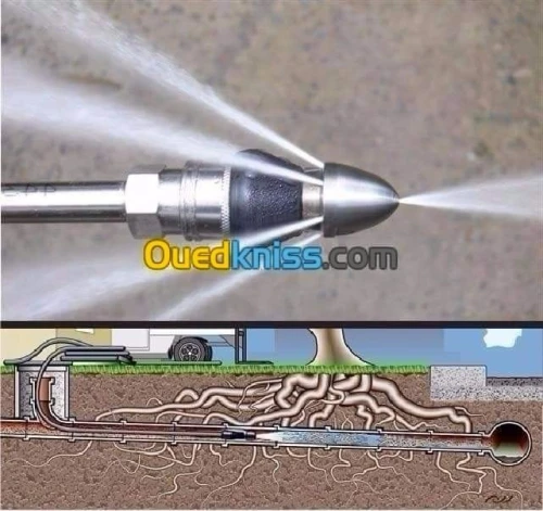 تنضيف وتسريح