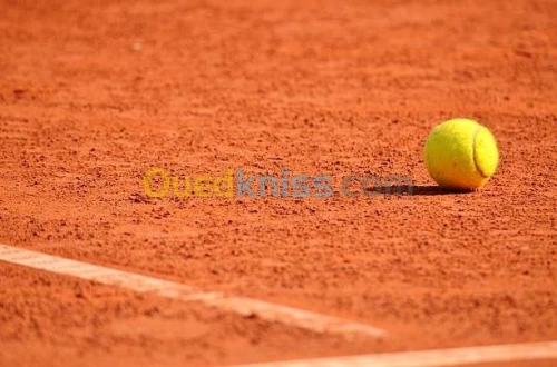 terre battue tennis 