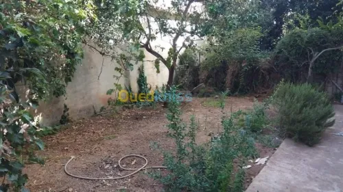 Vente Villa Ain temouchent Beni saf