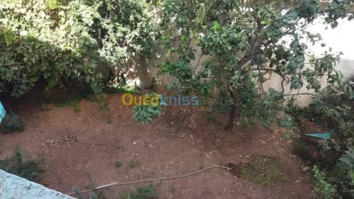 Vente Villa Ain temouchent Beni saf