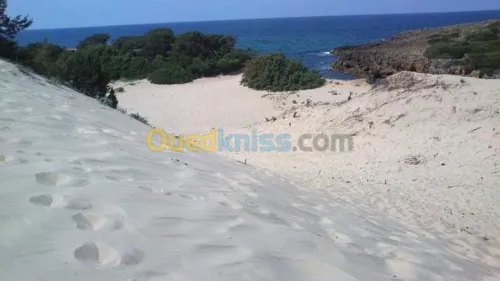 Location vacances Villa El taref El kala