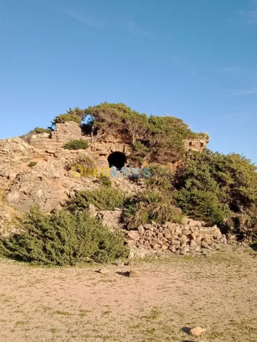 Location vacances Villa El taref El kala