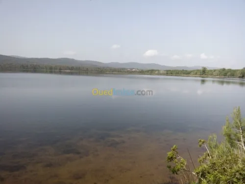 Location vacances Villa El taref El kala