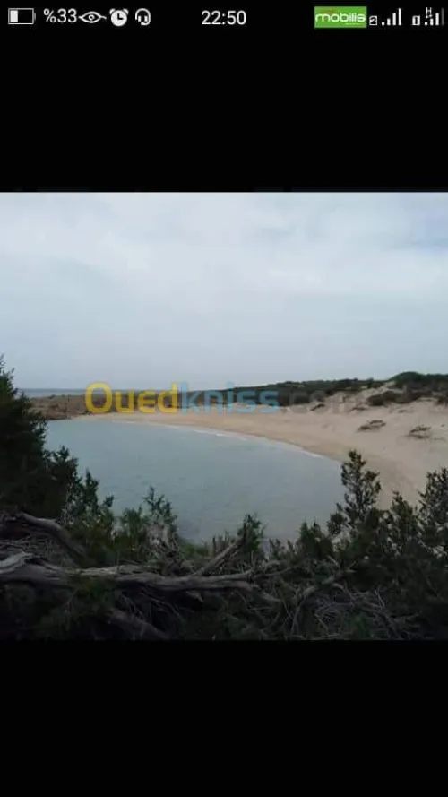Location vacances Villa El taref El kala