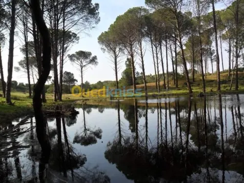 Location vacances Villa El taref El kala