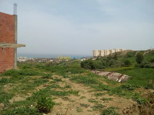 Vente Terrain Jijel Jijel