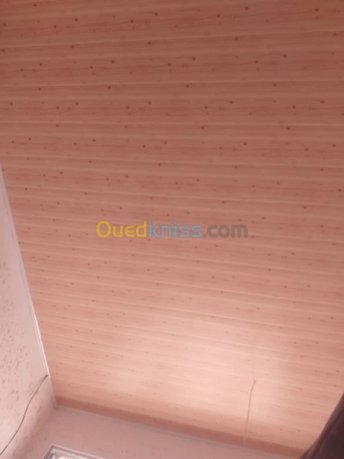 Peintre et montage pvc 