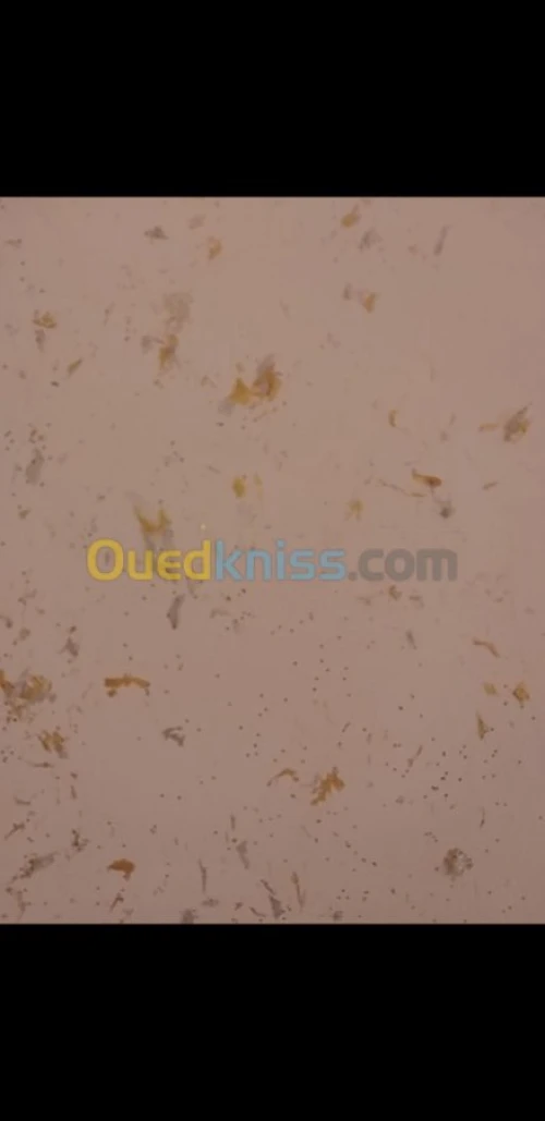 Peintre et montage pvc 