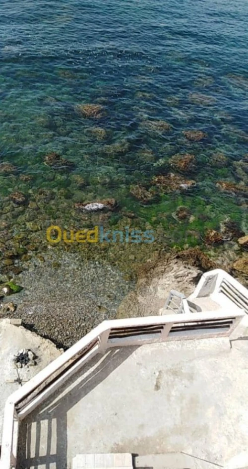 Vente Bungalow Tipaza Cherchell