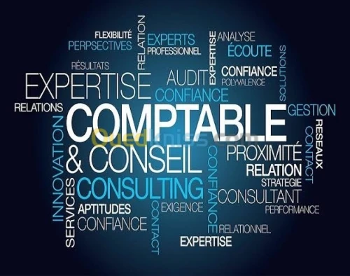 Comptable agréé , commissaire aux comp