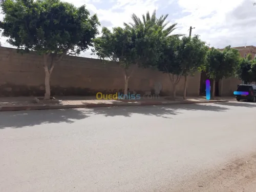 Vente Terrain Oran Oran