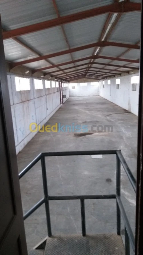Location Hangar Oran El braya