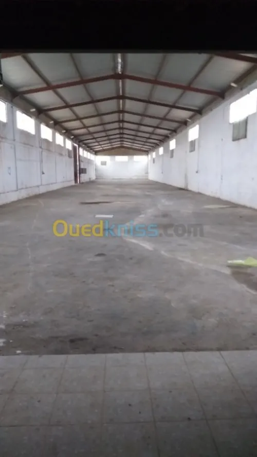 Location Hangar Oran El braya