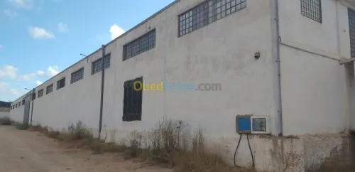 Location Hangar Oran El braya