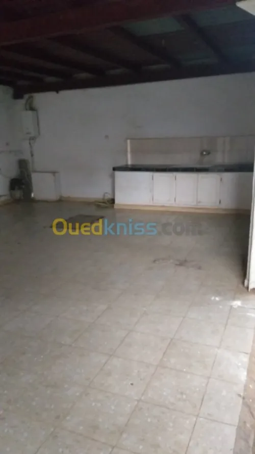 Location Hangar Oran El braya