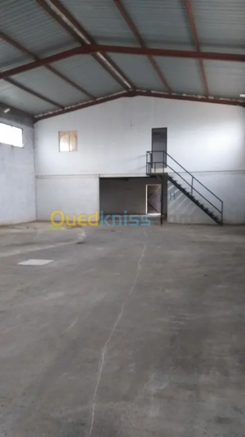 Location Hangar Oran El braya