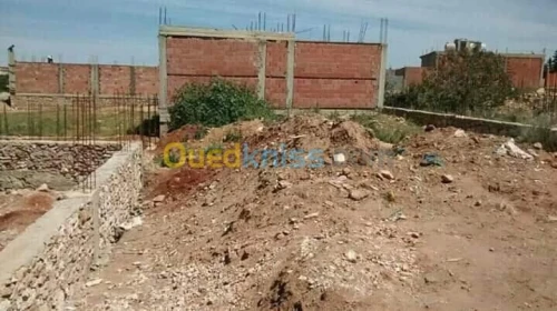 Vente Terrain Mostaganem Hassi maameche