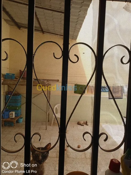 Vente Villa Sidi bel abbes Sidi hamadouche