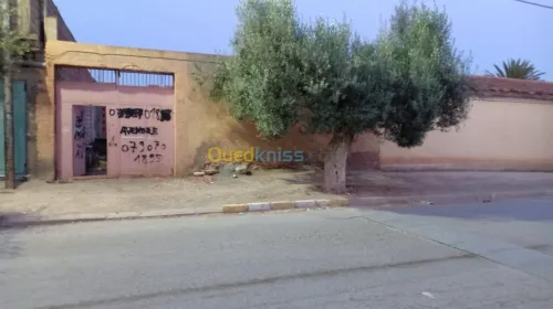 Vente Terrain Sidi bel abbes Boukhanafis