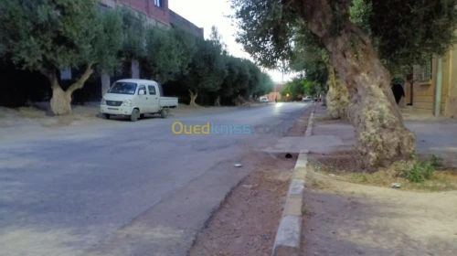 Vente Terrain Sidi bel abbes Boukhanafis