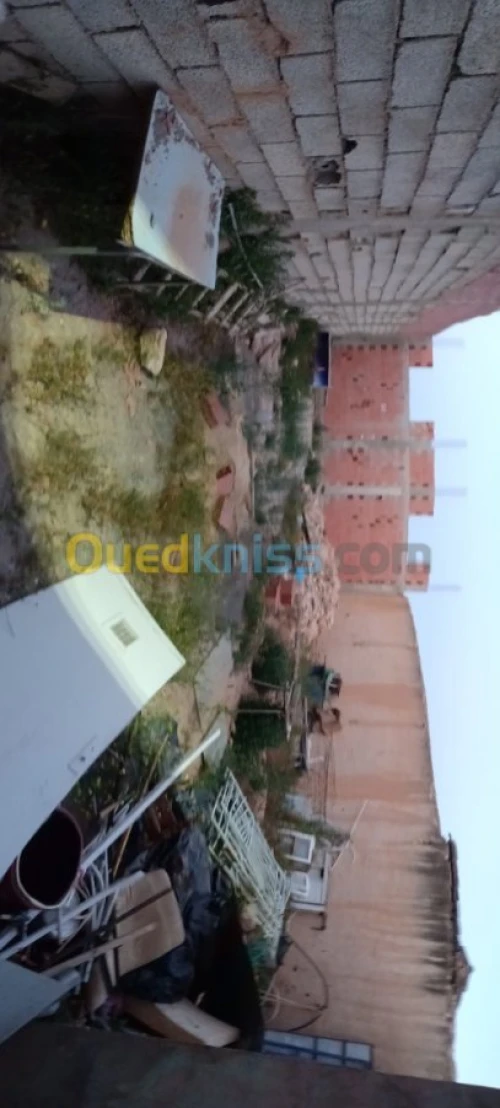 Vente Terrain Sidi bel abbes Boukhanafis
