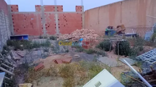 Vente Terrain Sidi bel abbes Boukhanafis