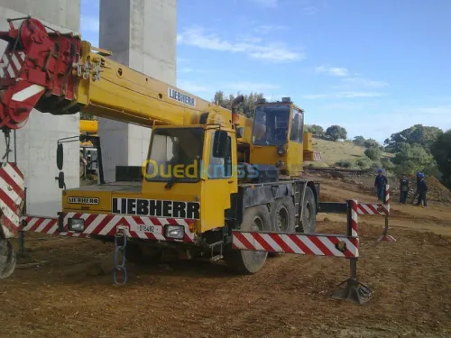 LOCATION DE GRUES LIEBHERR