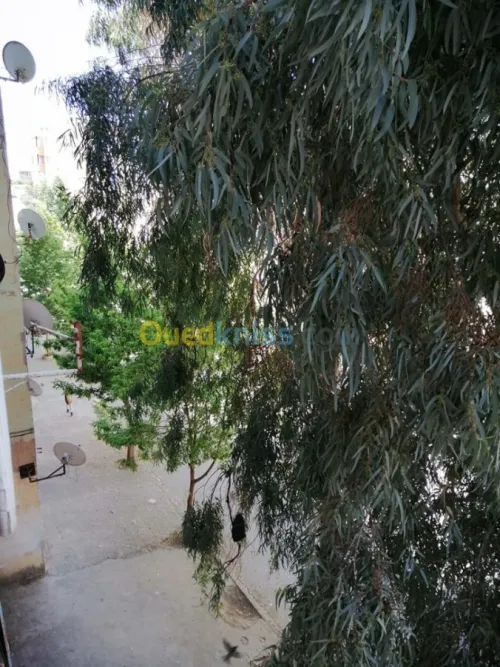 Vente Appartement F4 Setif Ain arnat