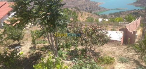 Vente Terrain Bejaia Akbou