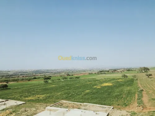 Vente Villa Mostaganem Hassi maameche