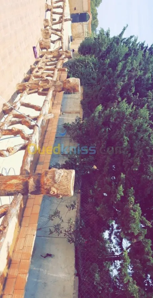 Vente Villa Mostaganem Sidi lakhdaara