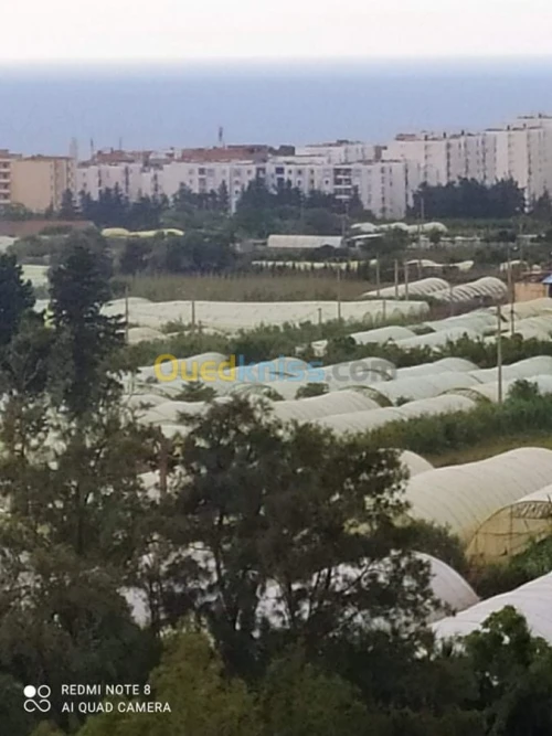 Vente Appartement F2 Tipaza Fouka