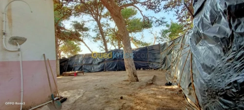 Location vacances Bungalow Chlef Beni haoua